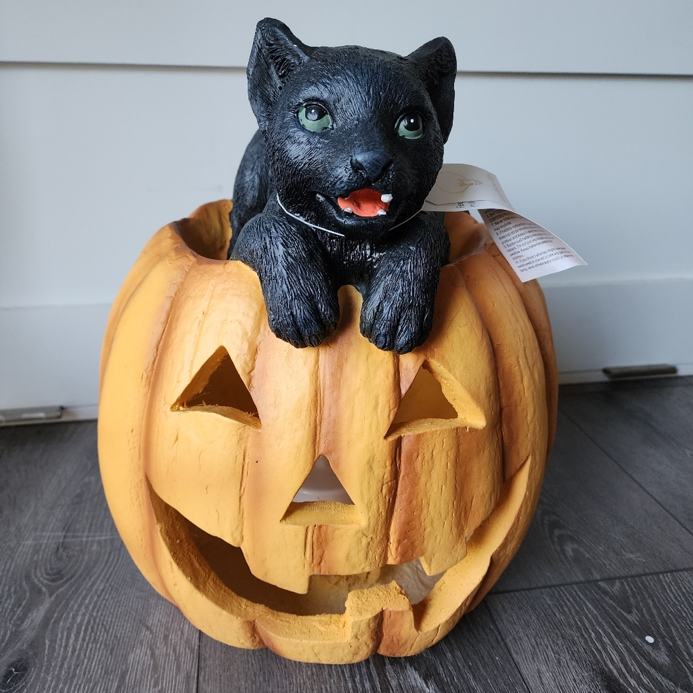 Light up halloween pumpkin cat 2024